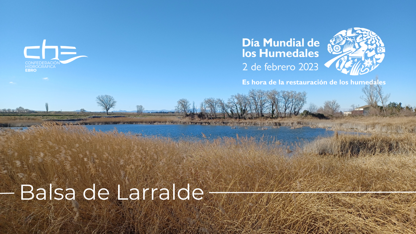Día Mundial de los Humedales 2023 Día Mundial de los Humedales 2023