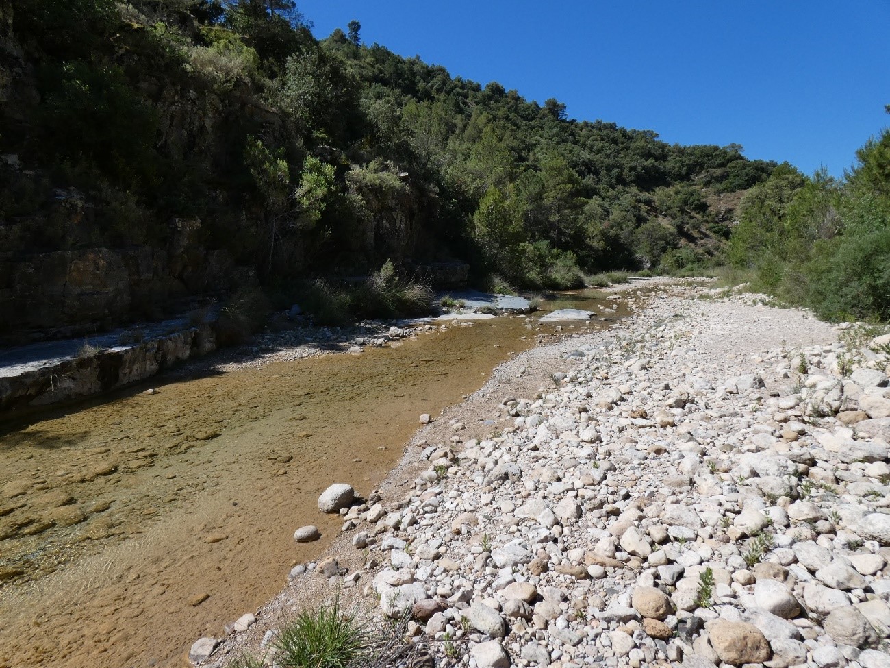 La CHE organiza una jornada sobre la mejora en la caracterización de las masas de agua en la cuenca del Ebro La CHE organiza una jornada sobre la mejora en la caracterización de las masas de agua en la cuenca del Ebro