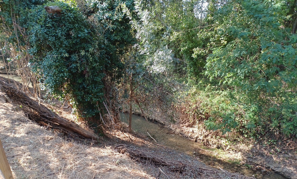 La CHE ha iniciado trabajos en el río Isuela (Huesca) para recuperar la capacidad hidráulica del río y mejorar su estado ambiental La CHE ha iniciado trabajos en el río Isuela (Huesca) para recuperar la capacidad hidráulica del río y mejorar su estado ambiental