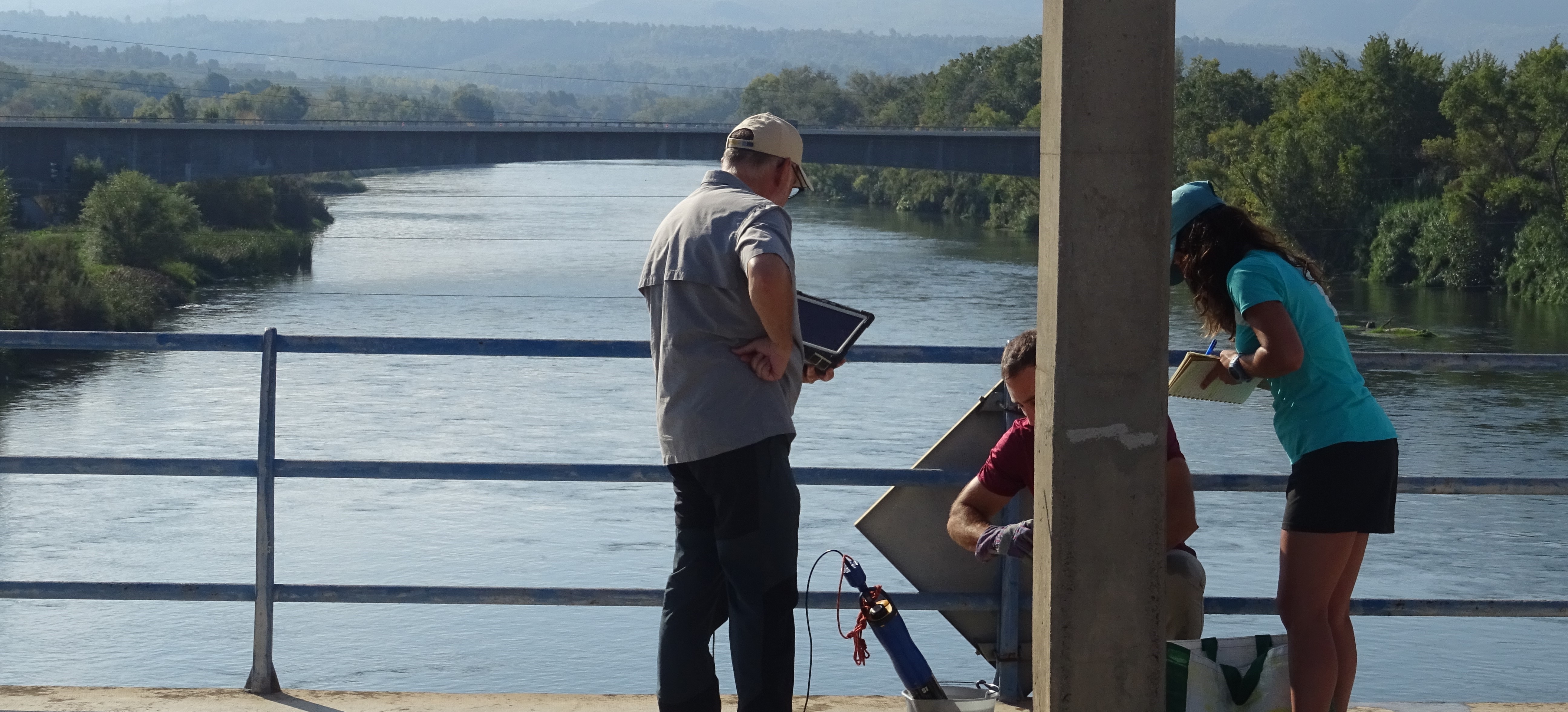 La CHE estudia el estado del tramo bajo del Ebro para para evaluar las condiciones ambientales del río en época de sequía