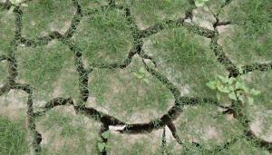 4. Versión consolidada de diciembre de 2023 después de la participación pública, pendiente evaluación ambiental 4. Versión consolidada de diciembre de 2023 después de la participación pública, pendiente evaluación ambiental