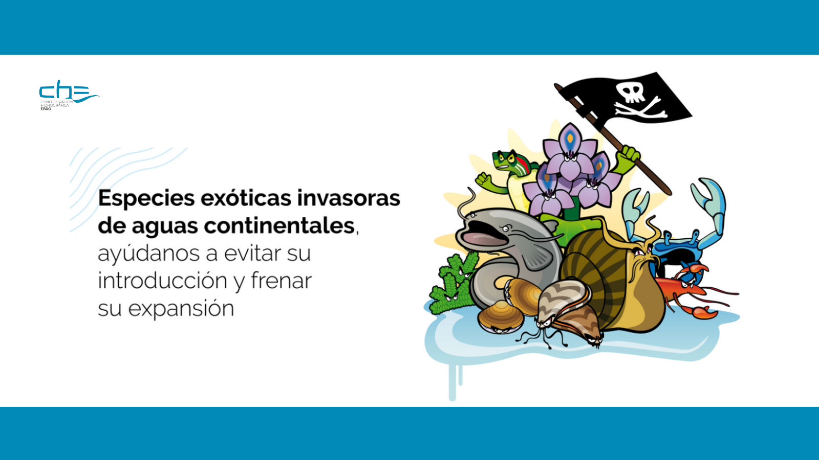 La exposición itinerante de especies exóticas invasoras llega a Utebo (Zaragoza) La exposición itinerante de especies exóticas invasoras llega a Utebo (Zaragoza)