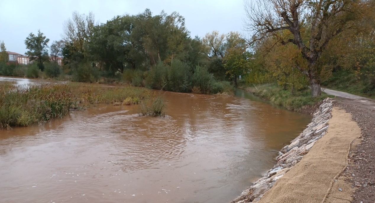 La CHE ultima los trabajos en la confluencia de los ríos Ebro e Híjar para reducir los daños por inundación en Reinosa y Matamorosa (Cantabria)