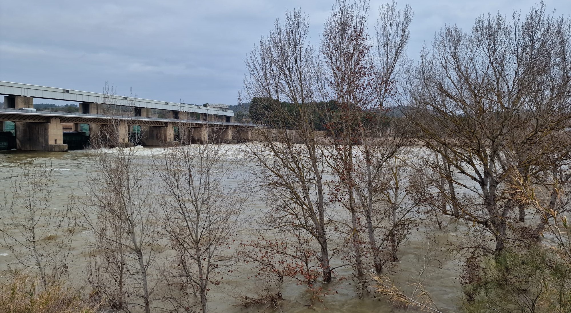 Crecida controlada en el Bajo Ebro desde el embalse de Mequinenza