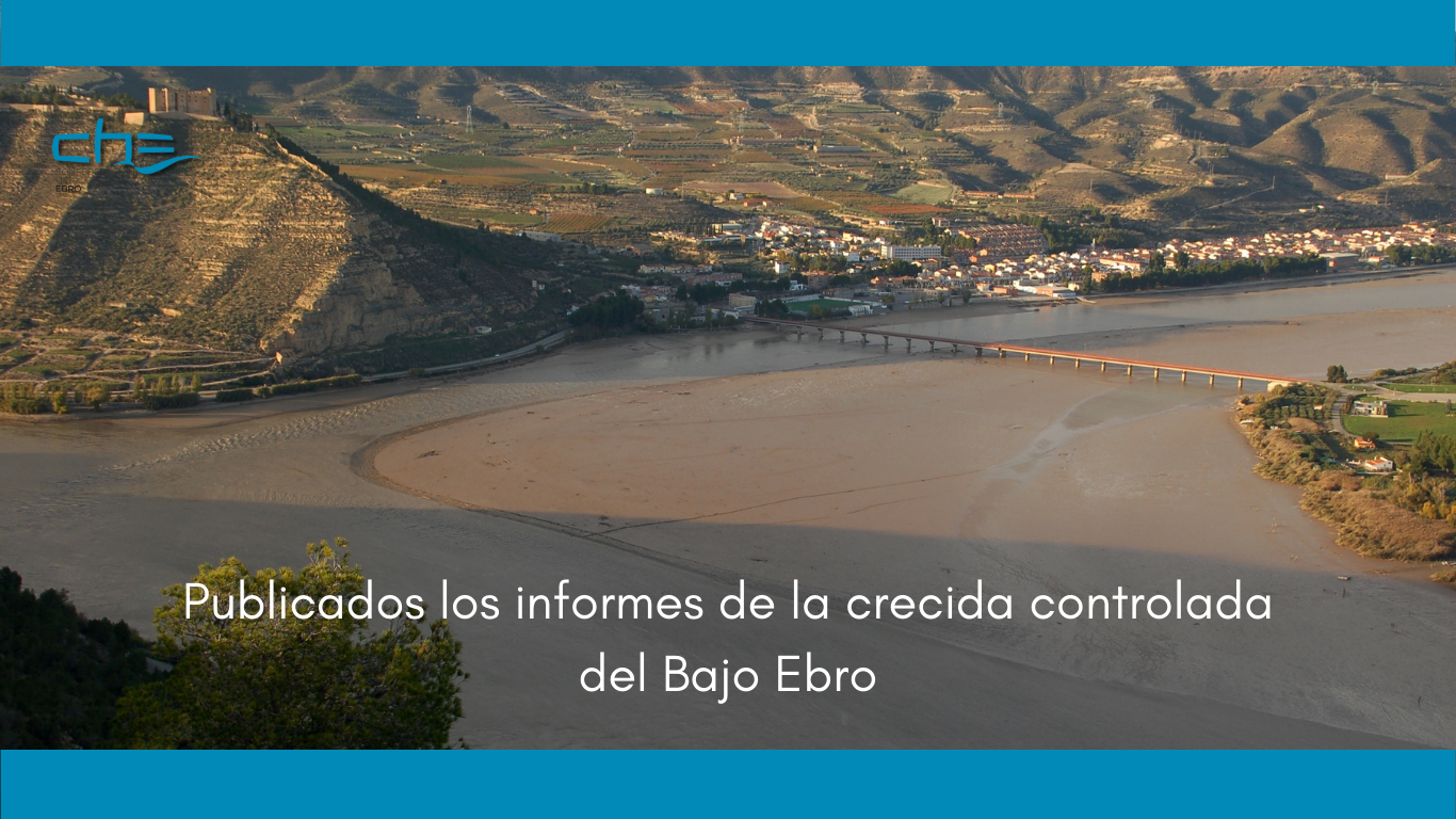 Imagen noticia - Publicados los informes de la crecida controlada del Bajo Ebro realizada el pasado mes de noviembre