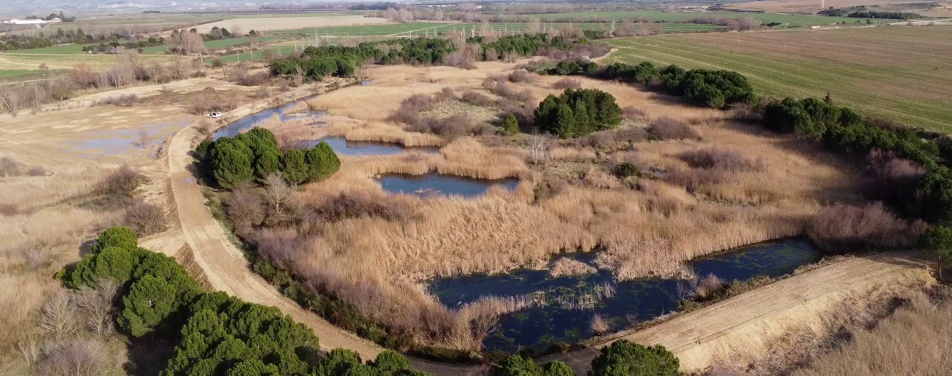 Concluyen las obras de mejora de la conectividad lateral del río Arba de Biel y mejora hidráulica del humedal “El Coderón” Concluyen las obras de mejora de la conectividad lateral del río Arba de Biel y mejora hidráulica del humedal “El Coderón”