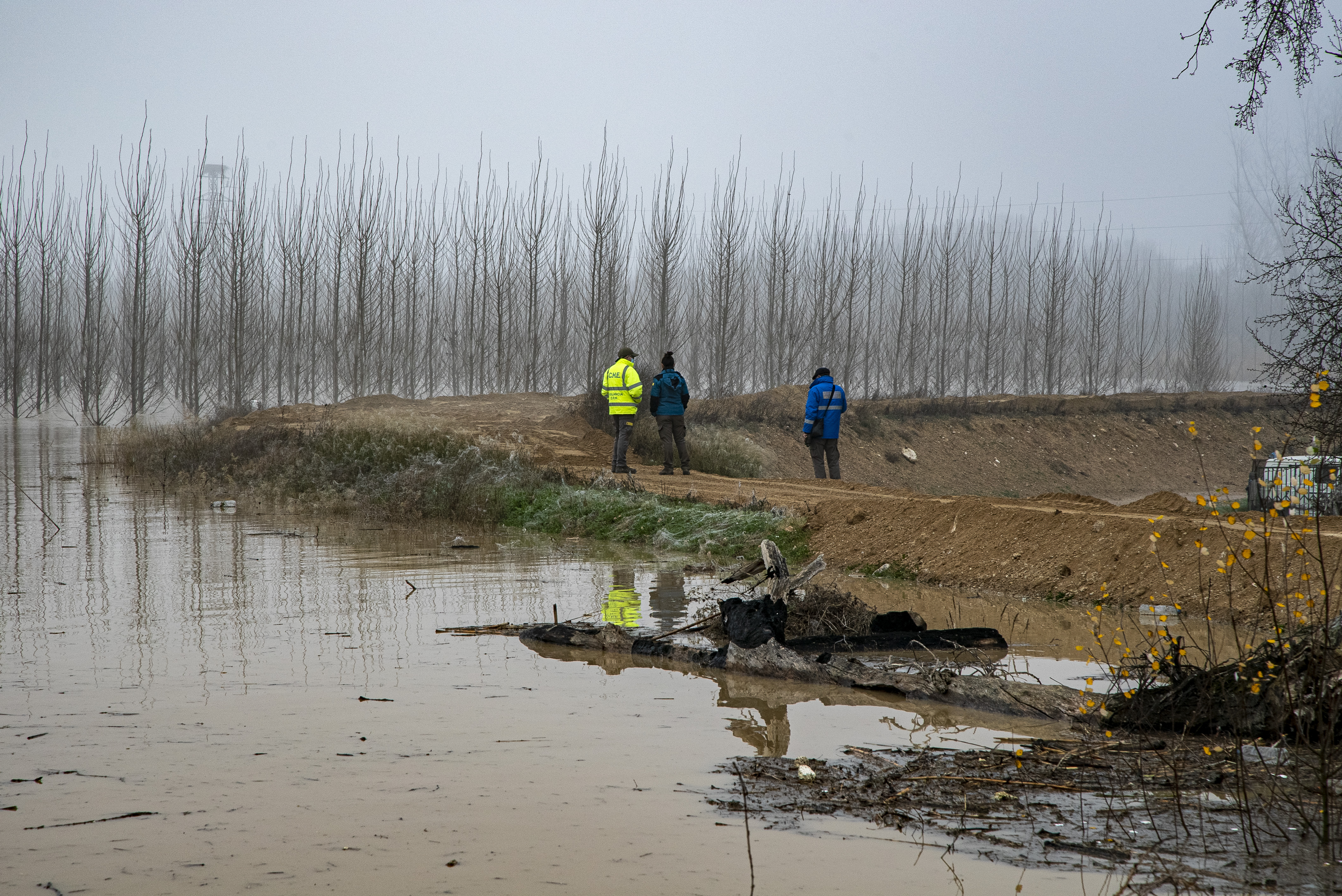 Resumen del episodio de crecida extraordinaria de diciembre 2021 en la cuenca del Ebro - Imagen 2