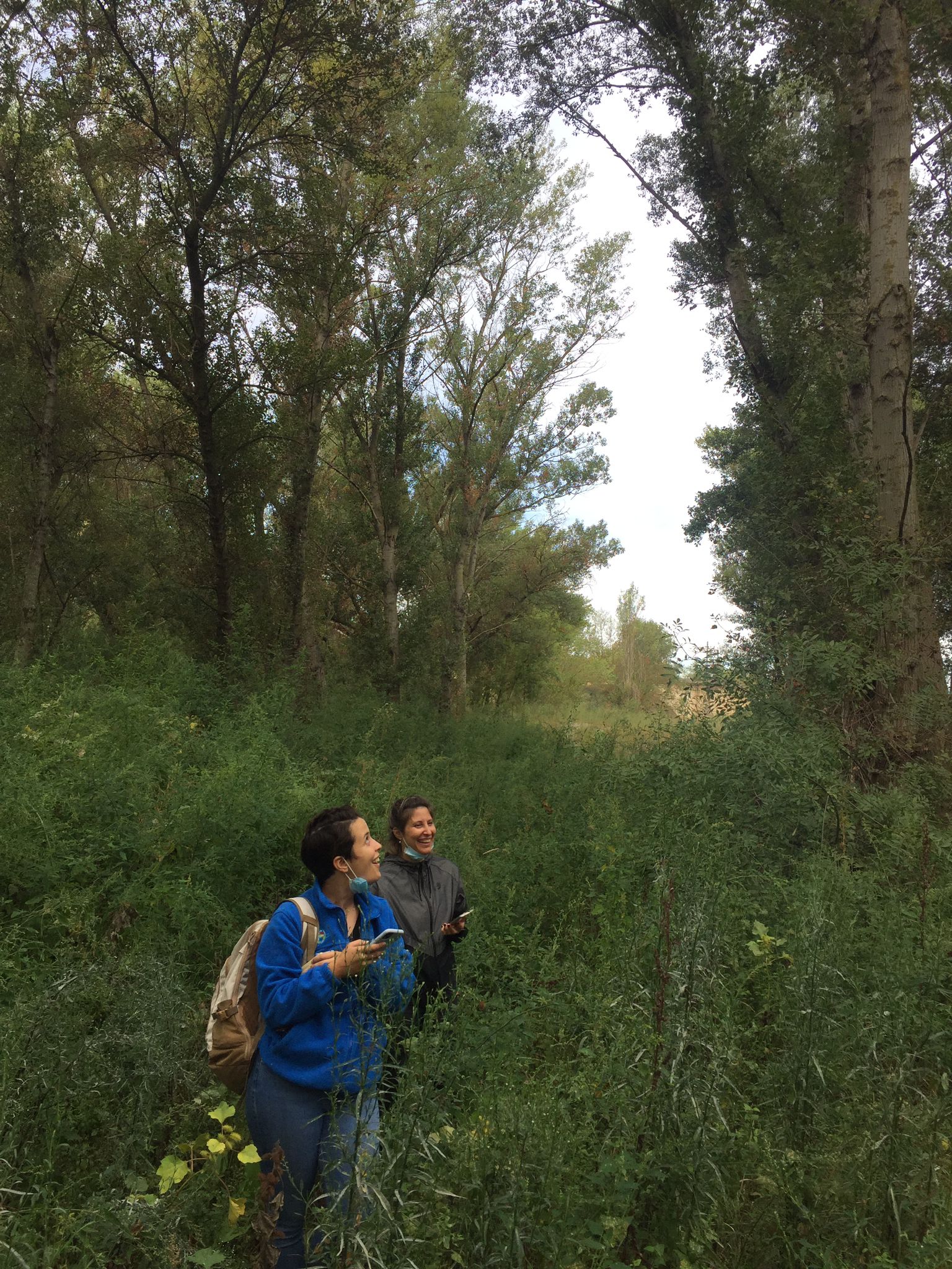 La CHE realiza un estudio hidromorfológico y un seguimiento de las poblaciones ornitológicas en los curages ejecutados en el tramo medio del Ebro