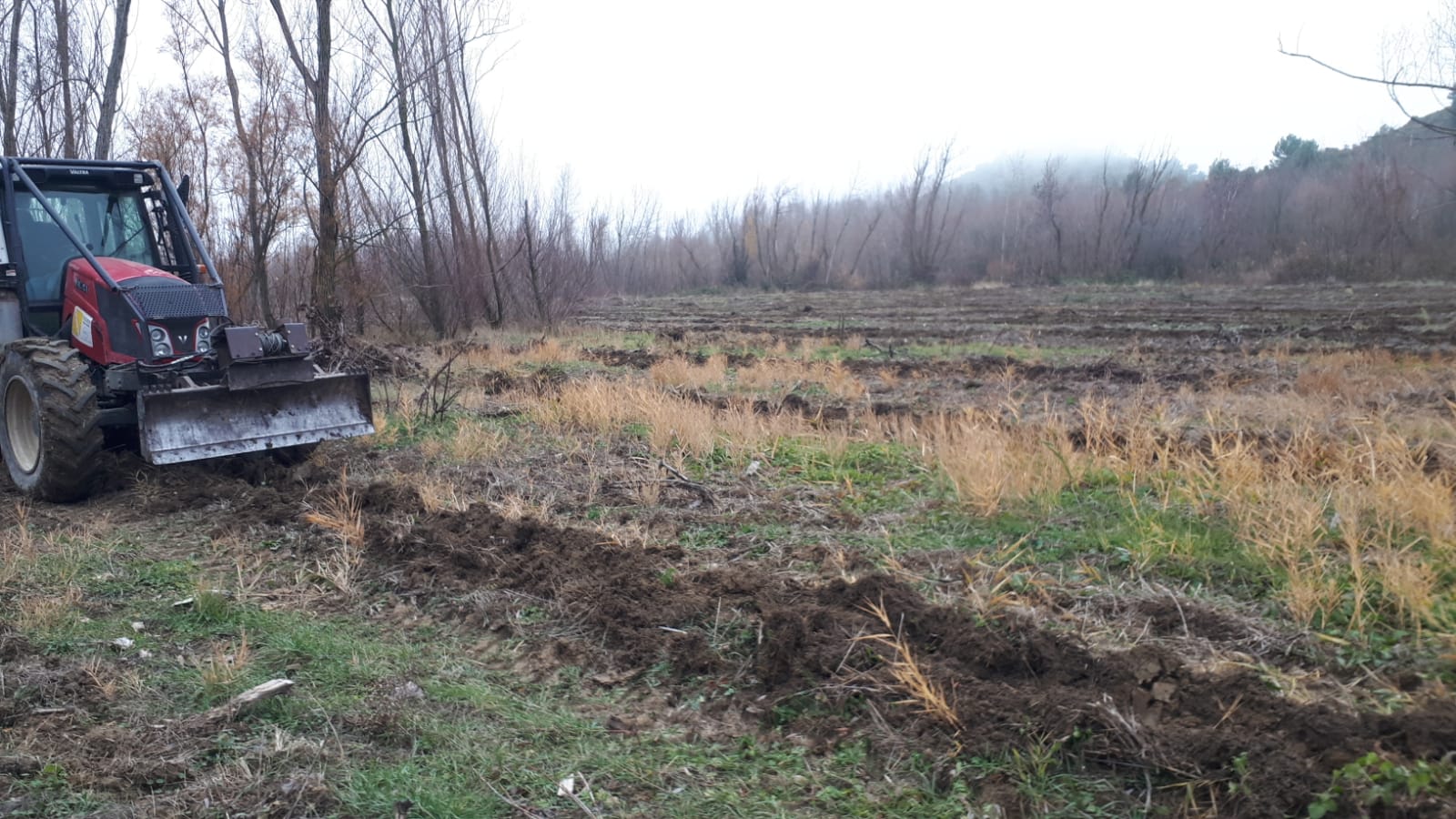 La CHE realizará una repoblación con especies autóctonas en la ribera del Gállego, entre Biscarrués (Huesca) y Ardisa (Zaragoza) La CHE realizará una repoblación con especies autóctonas en la ribera del Gállego, entre Biscarrués (Huesca) y Ardisa (Zaragoza)