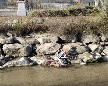 La CHE finaliza una limpieza de residuos urbanos en el tramo del Canal Imperial en Zaragoza La CHE finaliza una limpieza de residuos urbanos en el tramo del Canal Imperial en Zaragoza