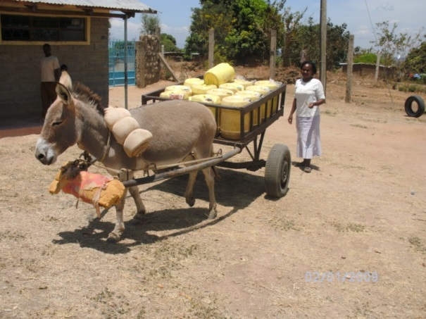 Burro llevando agua Burro llevando agua