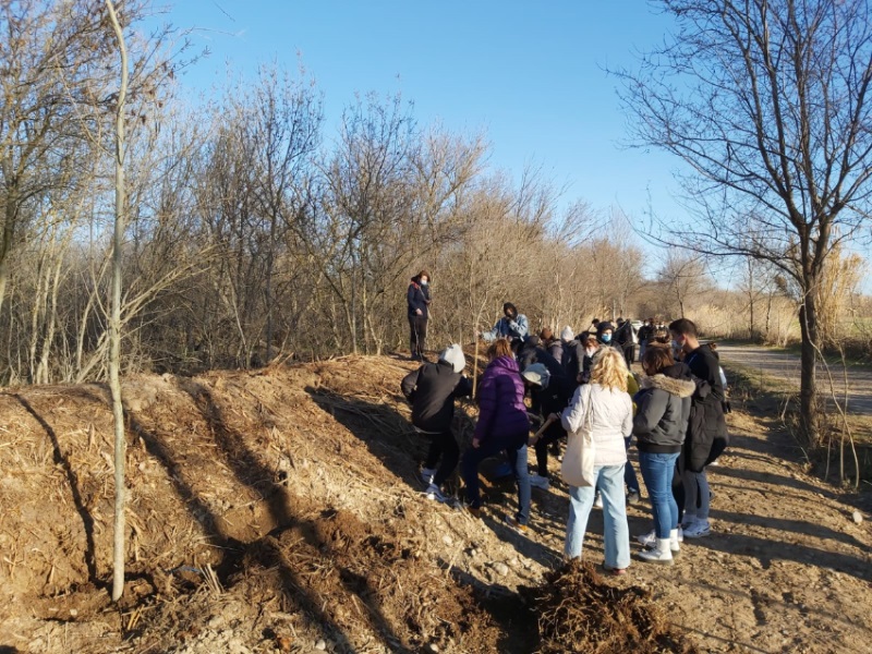 La CHE realiza una plantación de especies de ribera en el Camino Natural de La Alfranca (Zaragoza) tras finalizar el tratamiento para eliminar la flora invasora