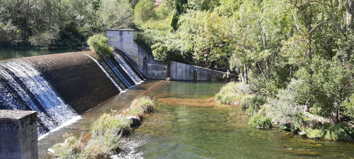 La CHE adjudica la mejora de dos pasos de peces en los azudes del río Najerilla (La Rioja) La CHE adjudica la mejora de dos pasos de peces en los azudes del río Najerilla (La Rioja)