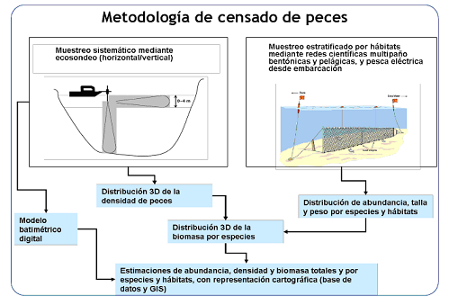 Metodologia de censado de peces