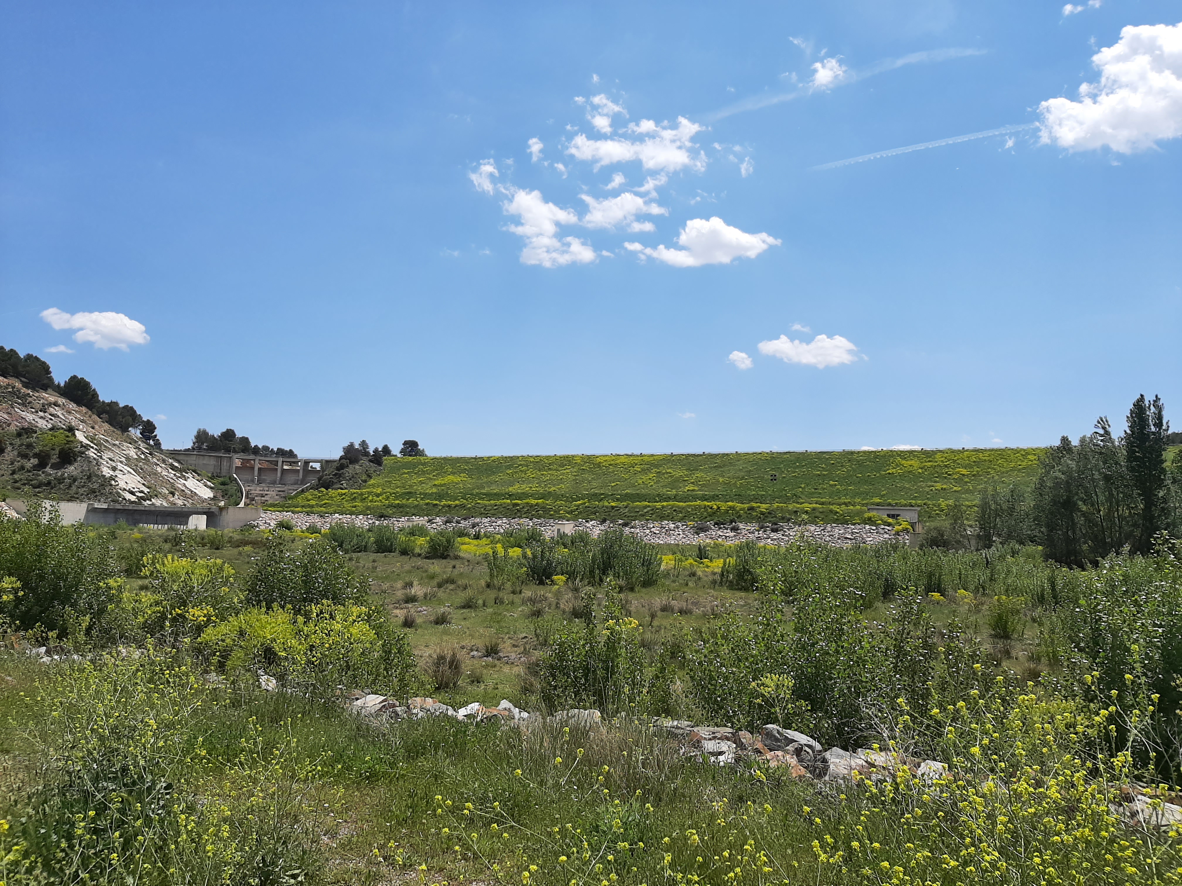 La CHE adjudica la excavación y estudio del yacimiento arqueológico de Lechago (Teruel)