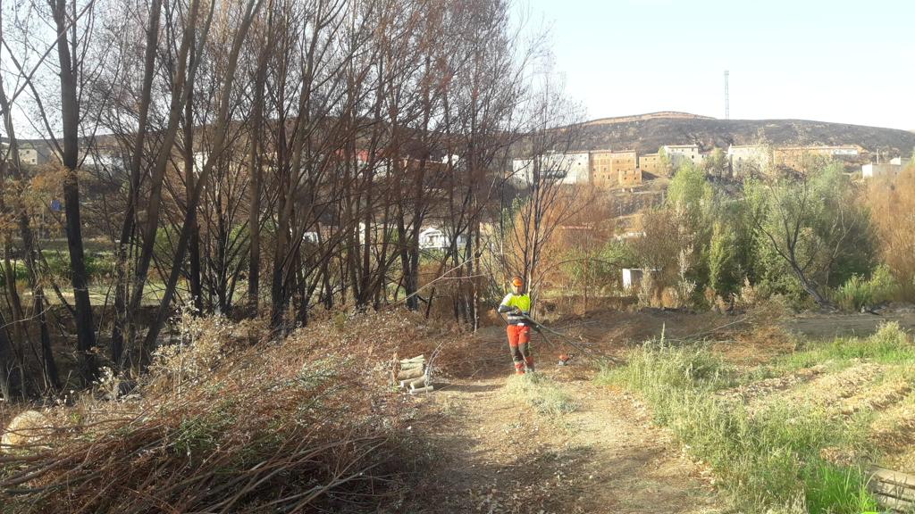 La CHE ha iniciado los trabajos de recuperación de ribera en el río Manubles, tras el incendio que ha asolado la zona