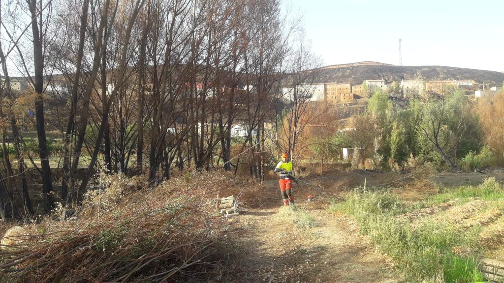 La CHE ha iniciado los trabajos de recuperación de ribera en el río Manubles, tras el incendio que ha asolado la zona La CHE ha iniciado los trabajos de recuperación de ribera en el río Manubles, tras el incendio que ha asolado la zona