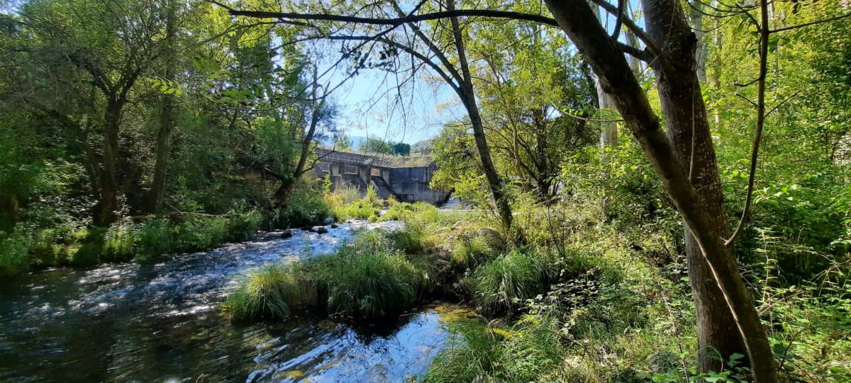 La CHE invertirá 397.199 euros en trabajos de mejora ambiental en los ríos Iregua, Najerilla, Tirón, Leza y sus afluentes (La Rioja)