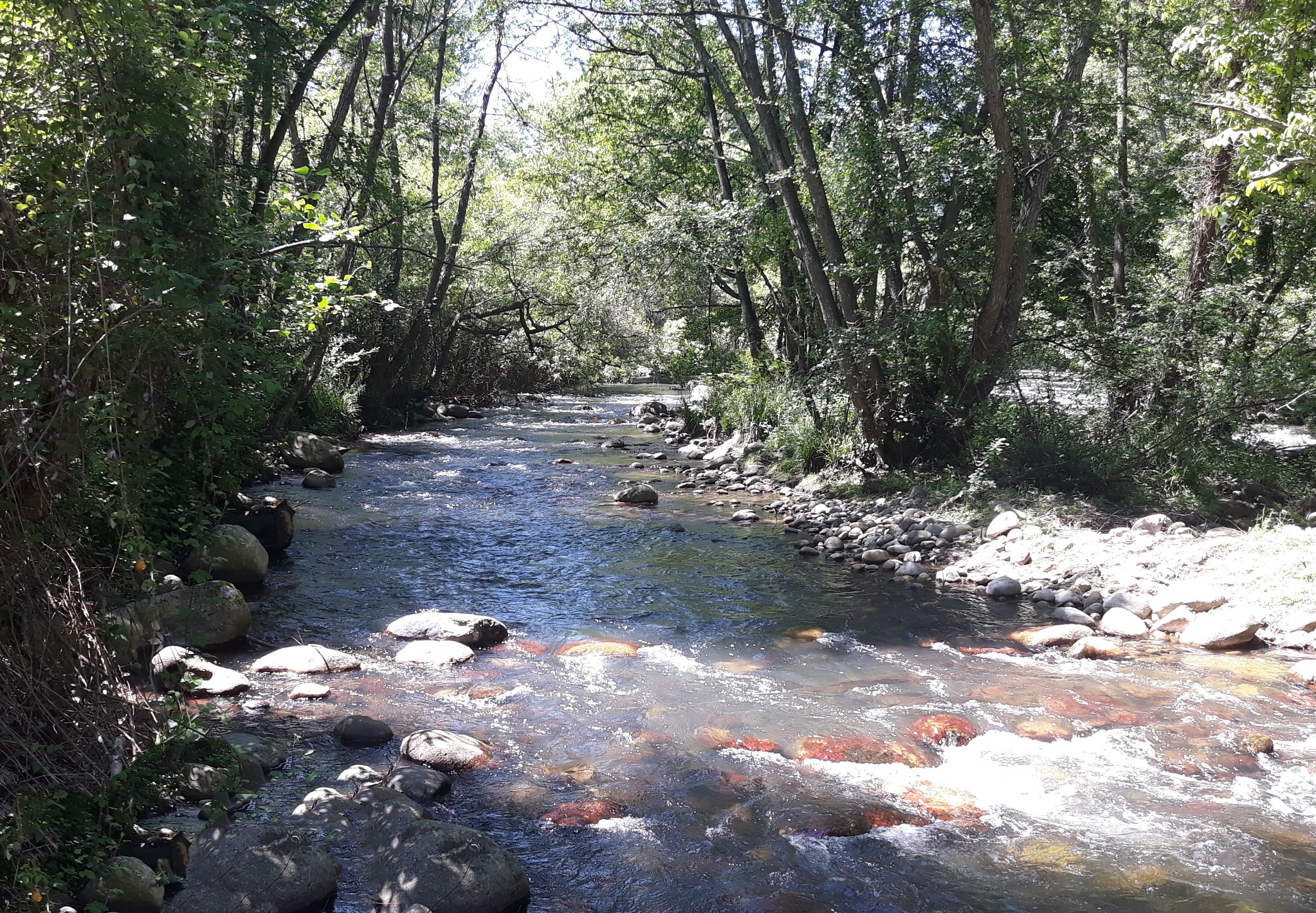 La CHE invertirá 397.199 euros en trabajos de mejora ambiental en los ríos Iregua, Najerilla, Tirón, Leza y sus afluentes (La Rioja) - Imagen 1